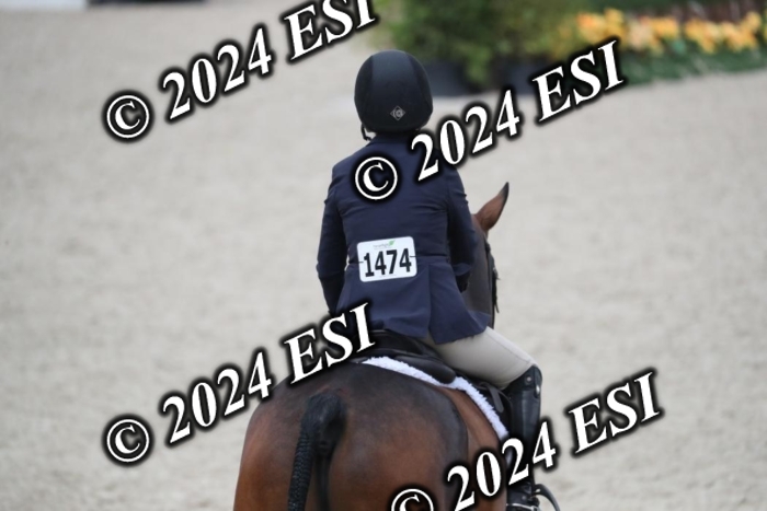 097RWCL7983