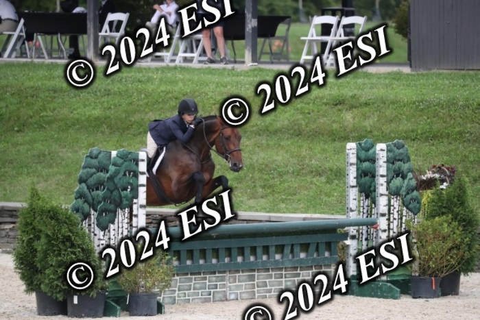 097RWCL7986