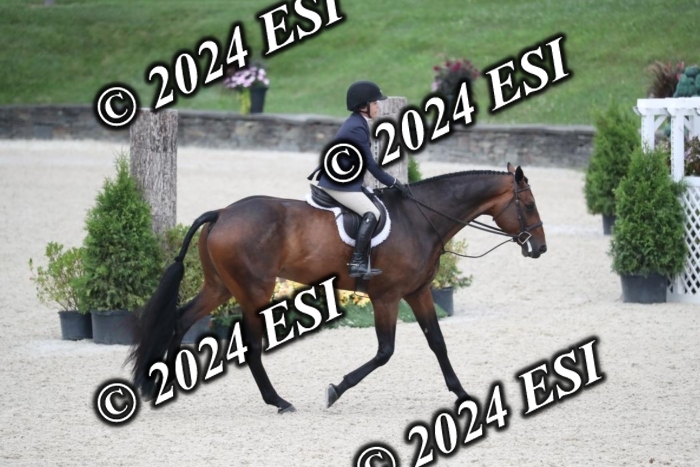 097RWCL7987