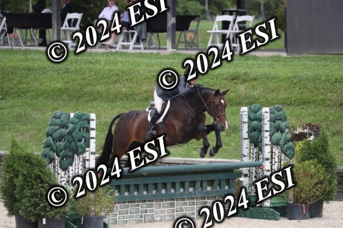097RWCL7993