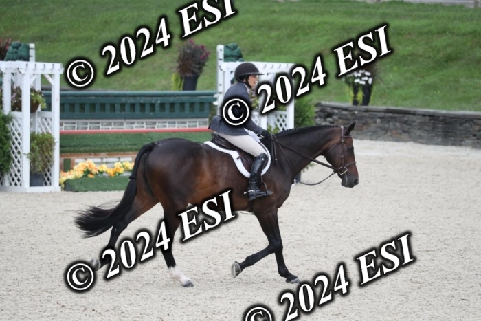 097RWCL7994