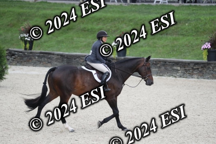 097RWCL7995