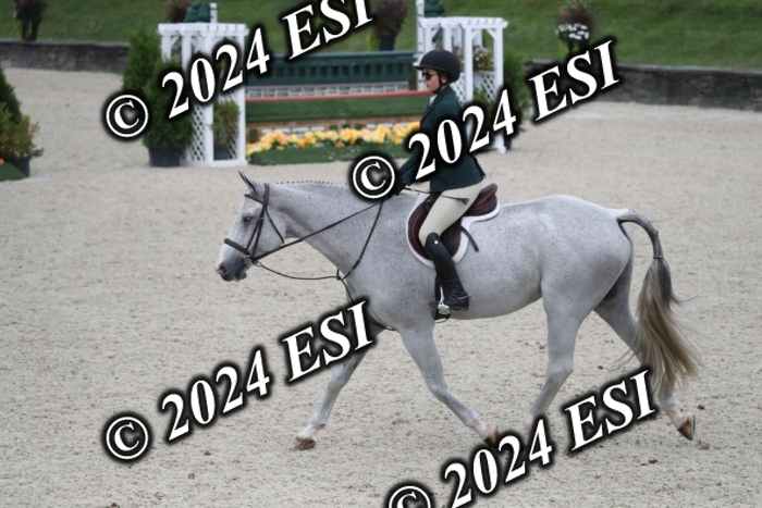 097RWCL8000