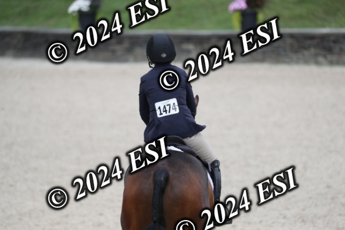 097RWCL8002