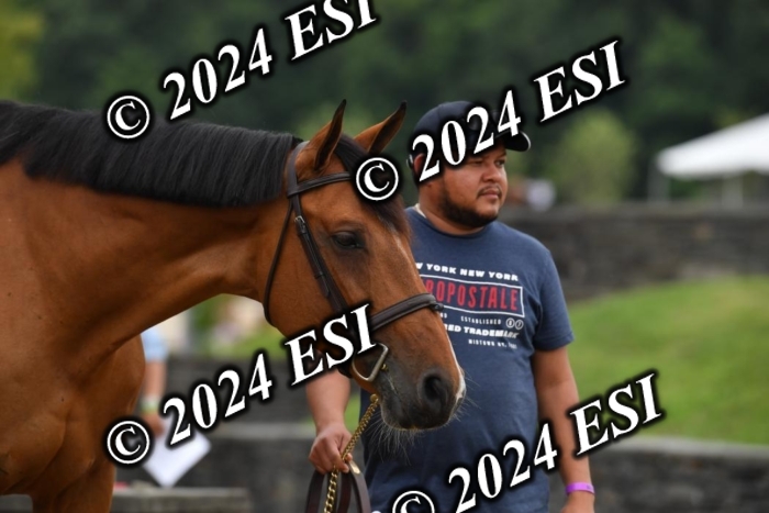 777CAH_6295