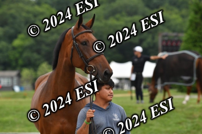 777CAH_6353