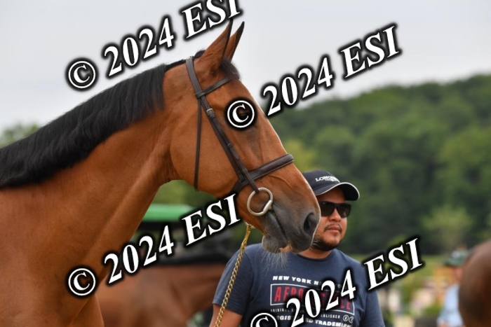 777CAH_6373