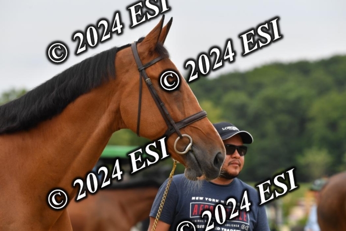 777CAH_6374