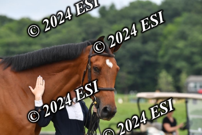 777CAH_6435