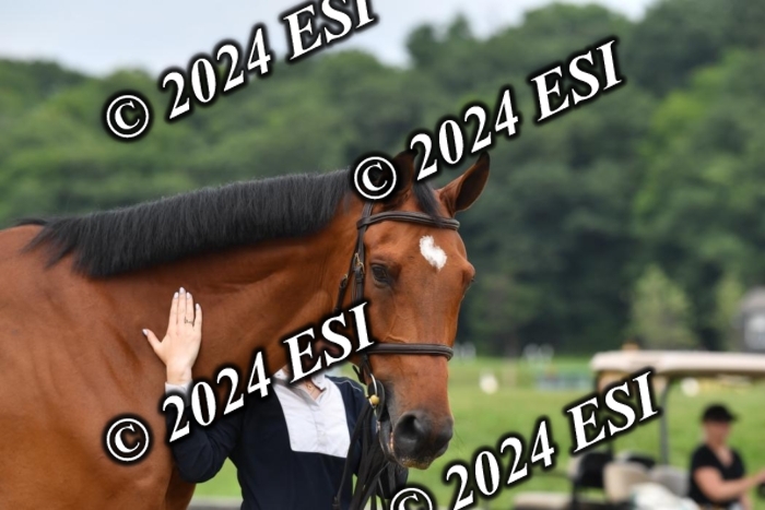 777CAH_6436
