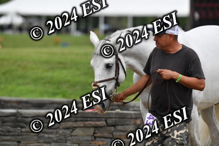 777CAH_6461