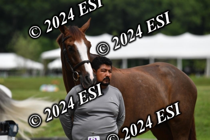 777CAH_6571
