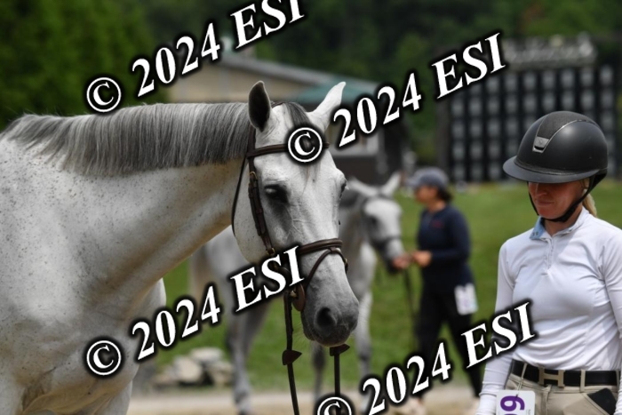 777CAH_6594