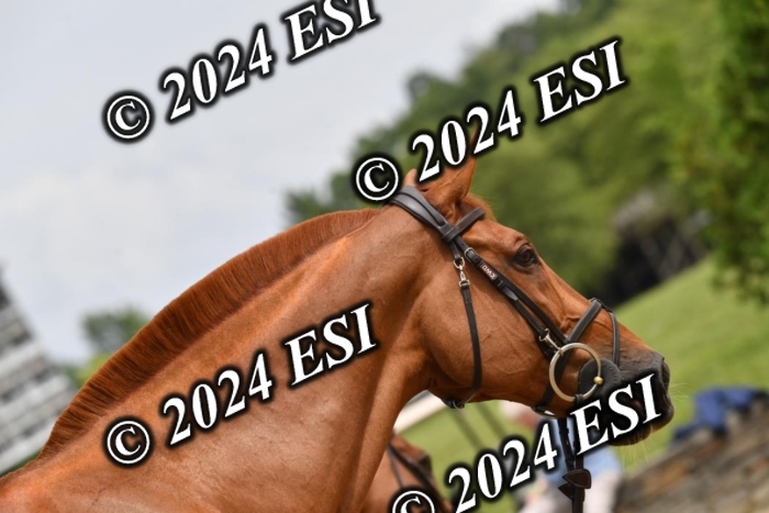 777CAH_6707