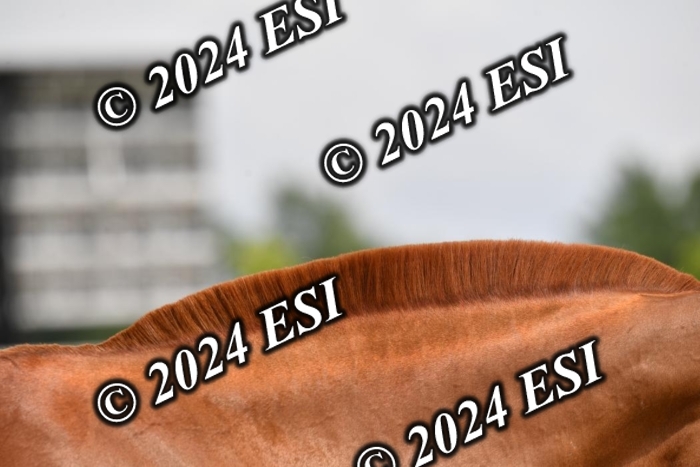 777CAH_6715