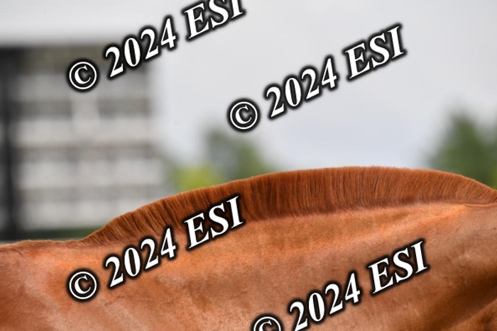 777CAH_6716