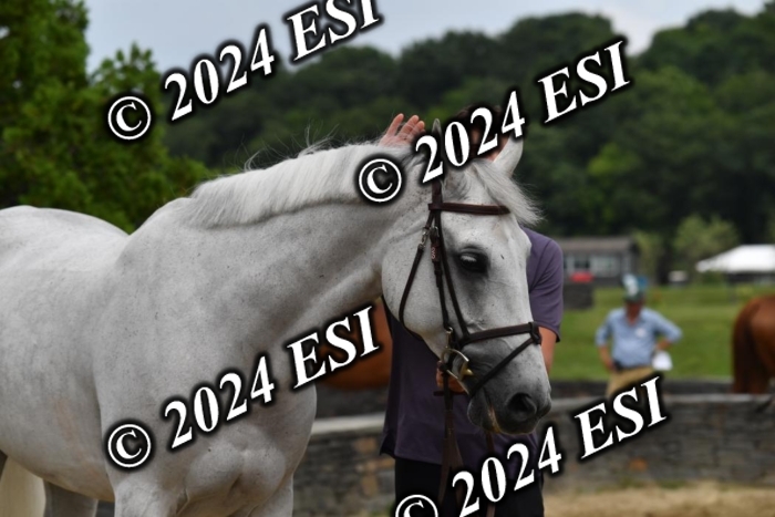 777CAH_6739