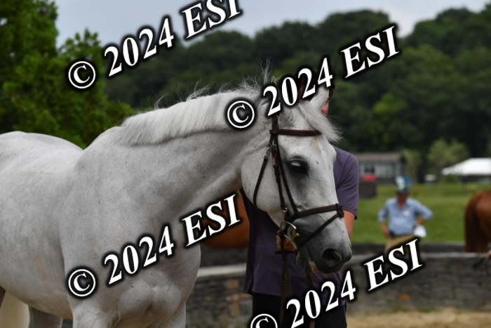 777CAH_6740
