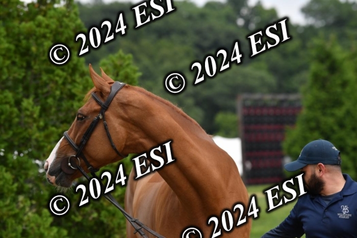 777CAH_6836