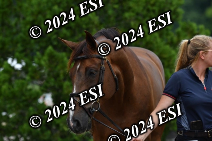 777CAH_6866