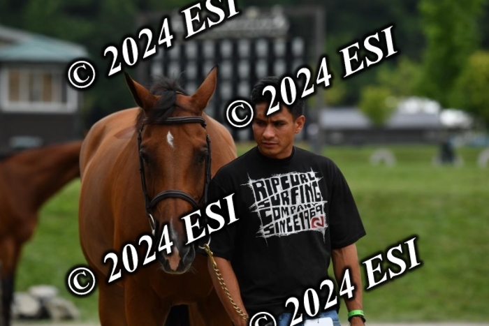 777CAH_6886