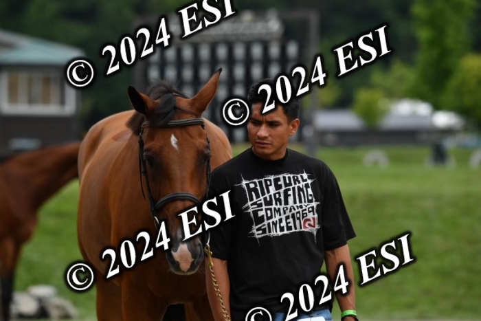 777CAH_6887