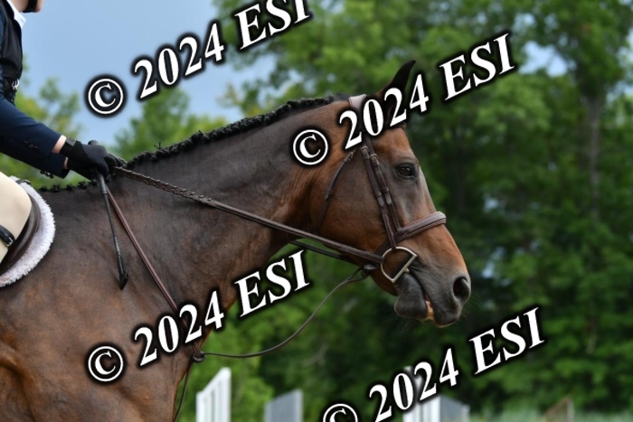 780KK4_0631