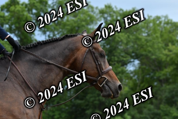 780KK4_0641