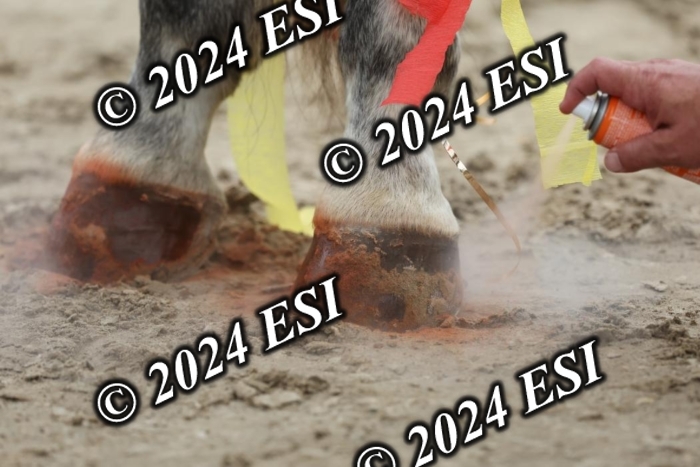 888740DI7_7234