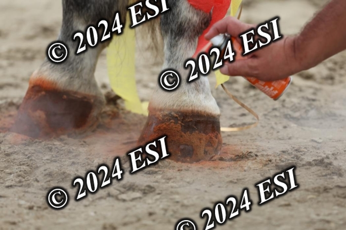 888740DI7_7242