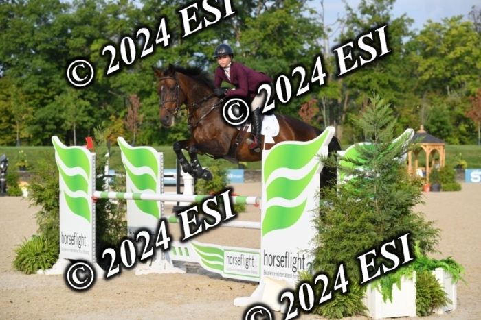 264DK1_8585