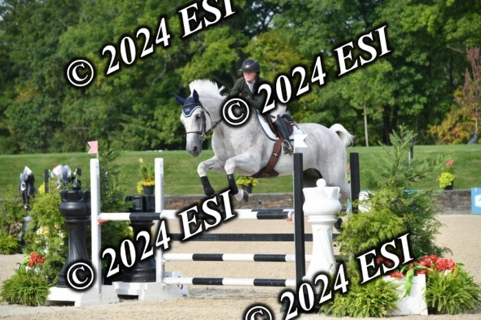 264DK1_8753