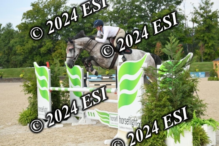 264DK1_8758