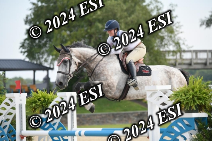 264DK1_8760