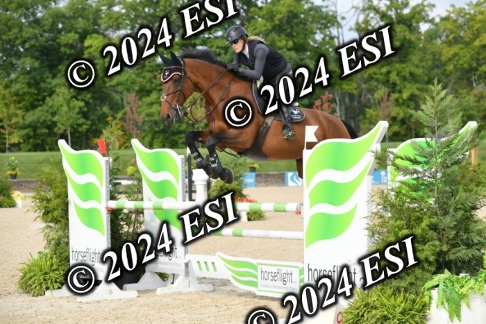 264DK1_8762