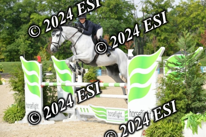 264DK1_8769