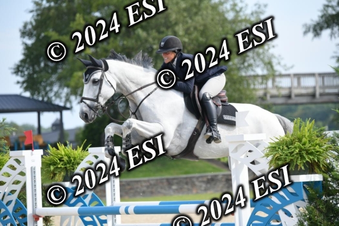 264DK1_8771