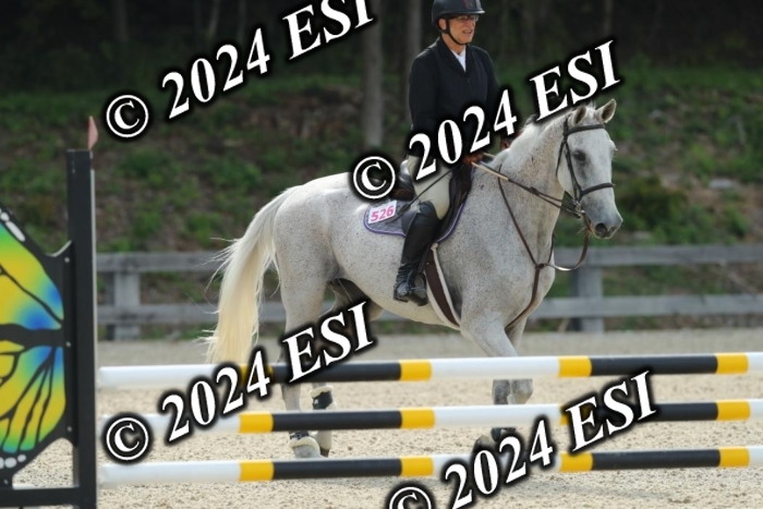 204GAB20396