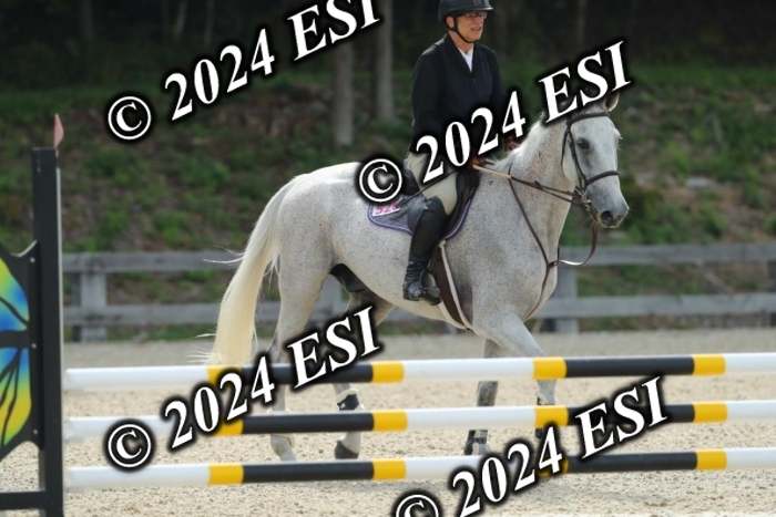204GAB20397