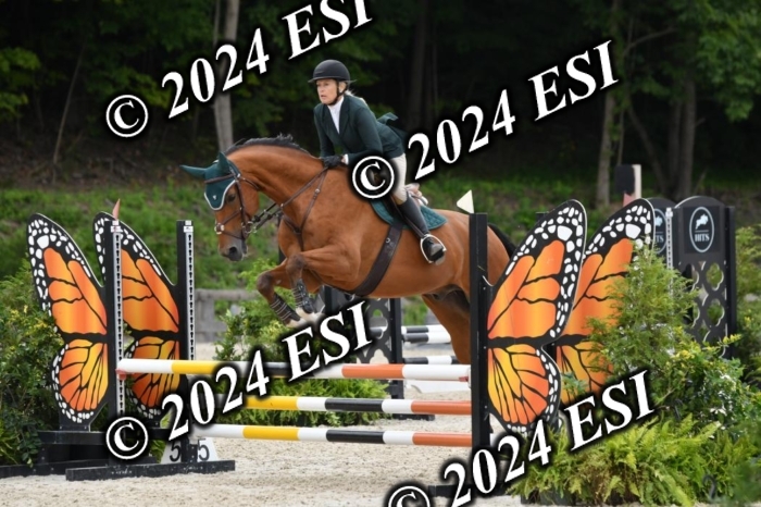 205DK1_9341