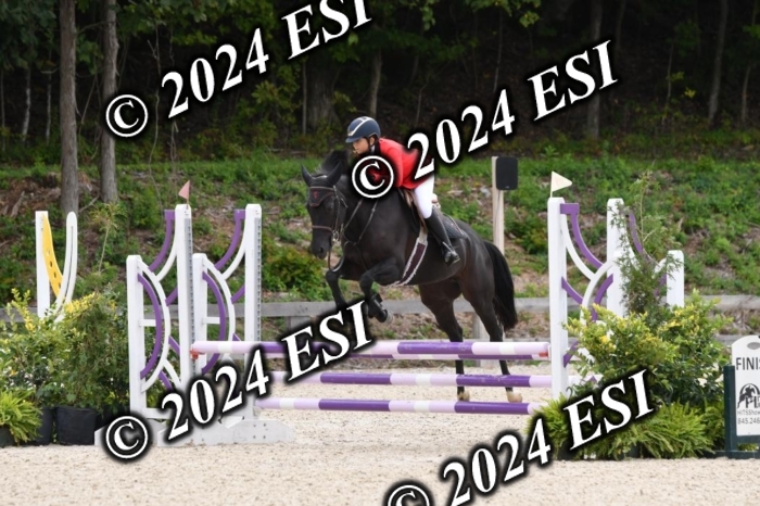 205DK1_9369