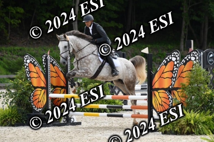 205DK1_9382