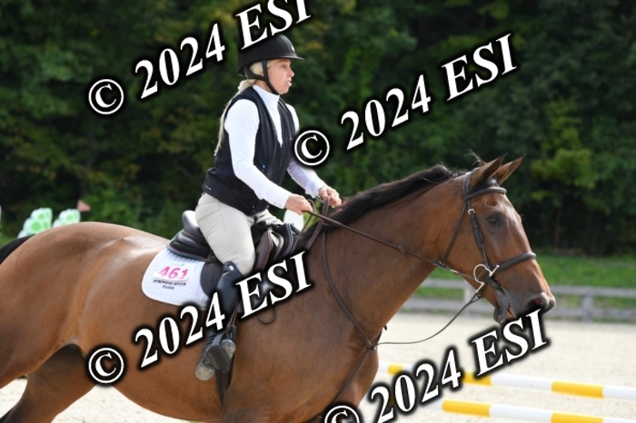 205DK1_9388