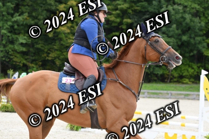 205DK1_9412