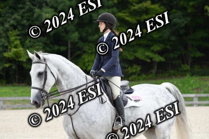 205DK1_9415