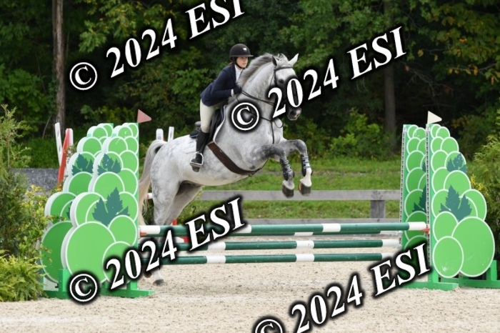 205DK1_9417
