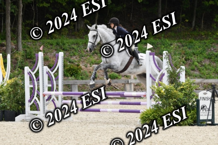205DK1_9418