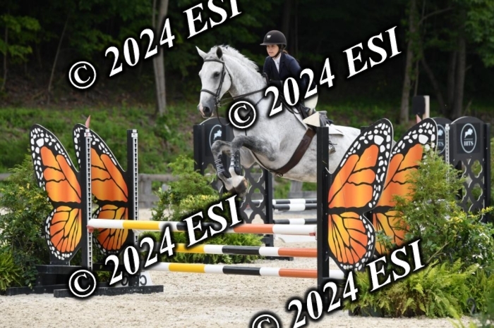 205DK1_9419