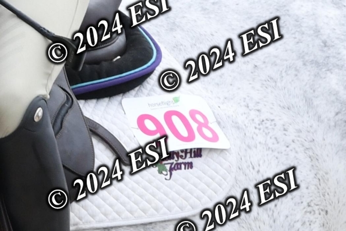 205DK1_9424