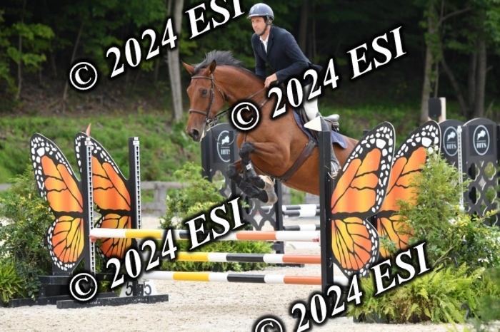 205DK1_9431
